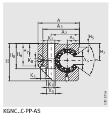 Подшипник KGNC 20 C-PP-AS INA