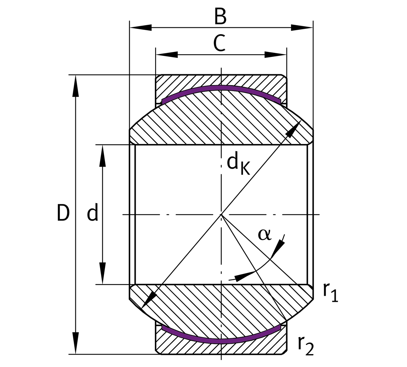 Подшипник GE10-PW INA