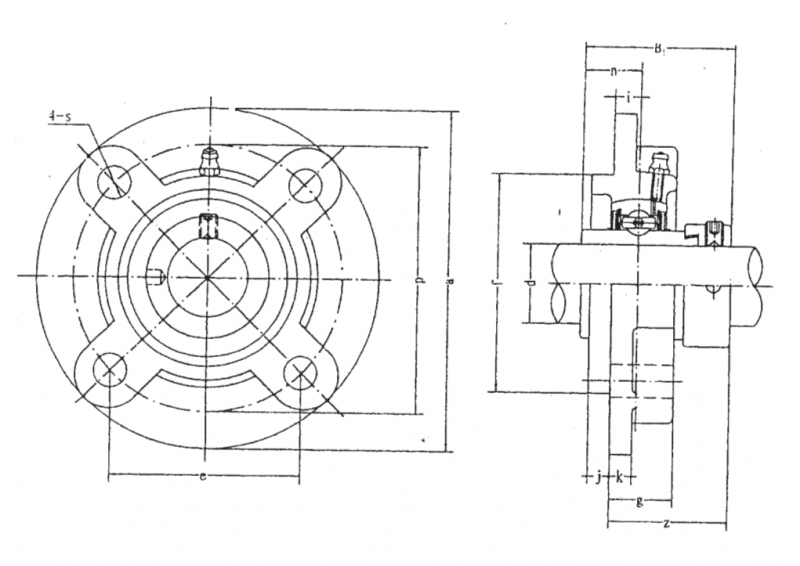 NAFC 206 FBJ