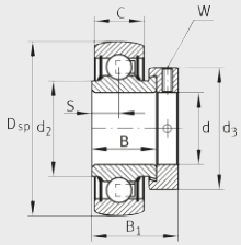 Подшипник RA100-NPP-B INA