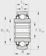 Подшипник SK100-206-KRR-B-AH11 INA