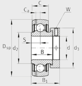 Подшипник GRAE30-XL-NPP-B INA