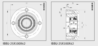 Подшипник IBBU-25X100X42-IA03 INA